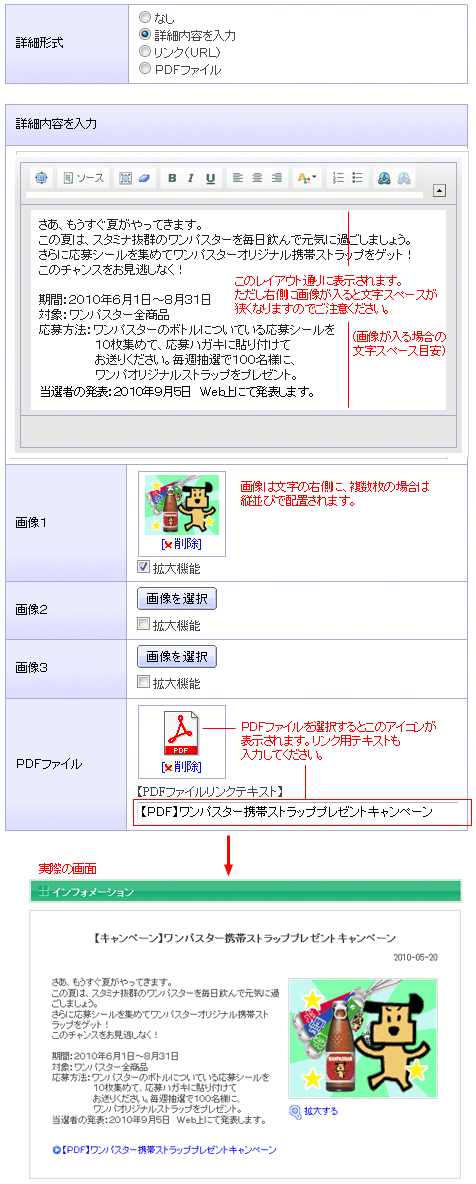 詳細内容を入力する